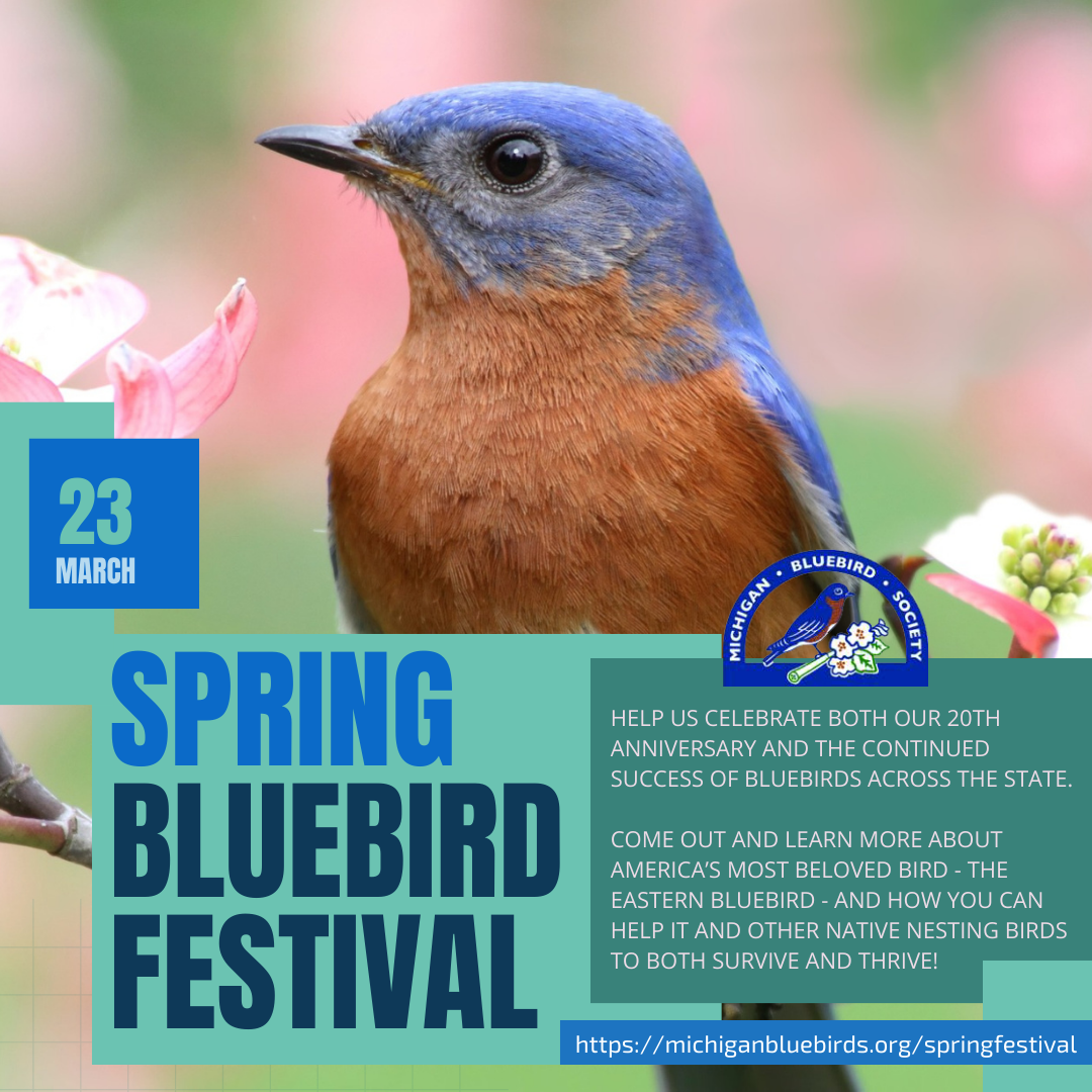 SAVE THE DATE! Spring Bluebird Festival