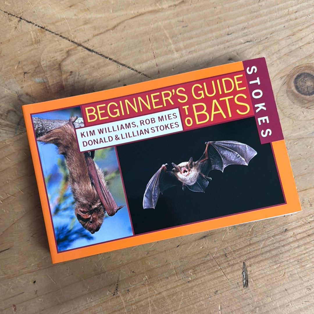 Beginner’s Guide to Bats - Stokes