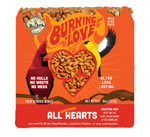 Burning Love Small Cake - Mr Bird