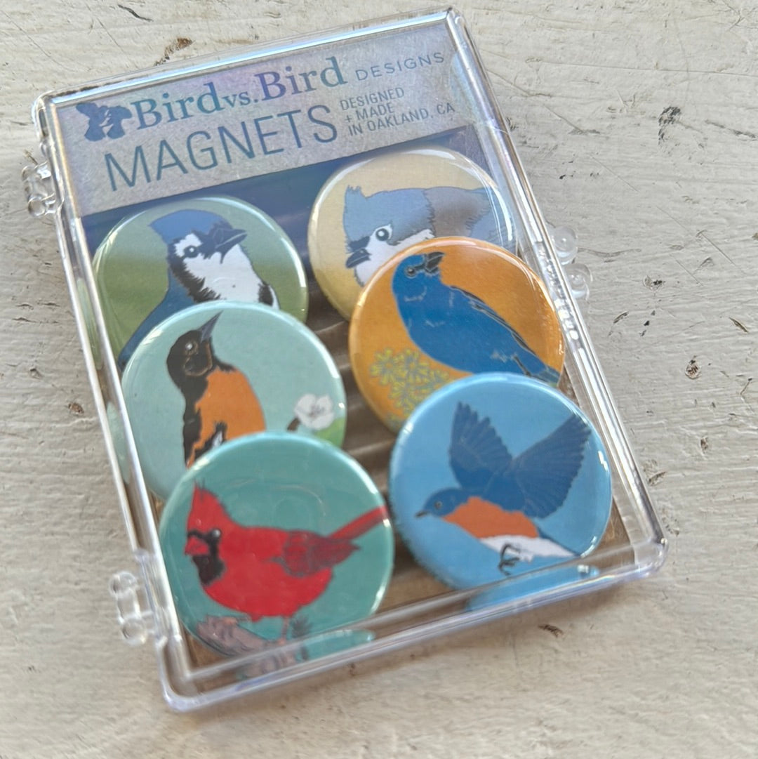 Bird Magnet Gift Set | Bird vs Bird Designs
