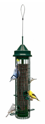 Brome Squirrel Buster Classic