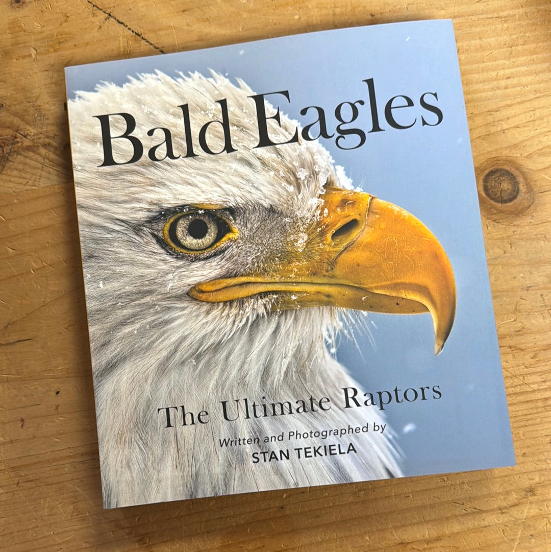Bald Eagles The Ultimate Raptors - Stan Tekiela