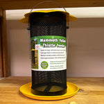 Mammoth Yellow Thistle Feeder