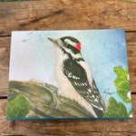 Backyard Birds Boxed Notecard Assortment