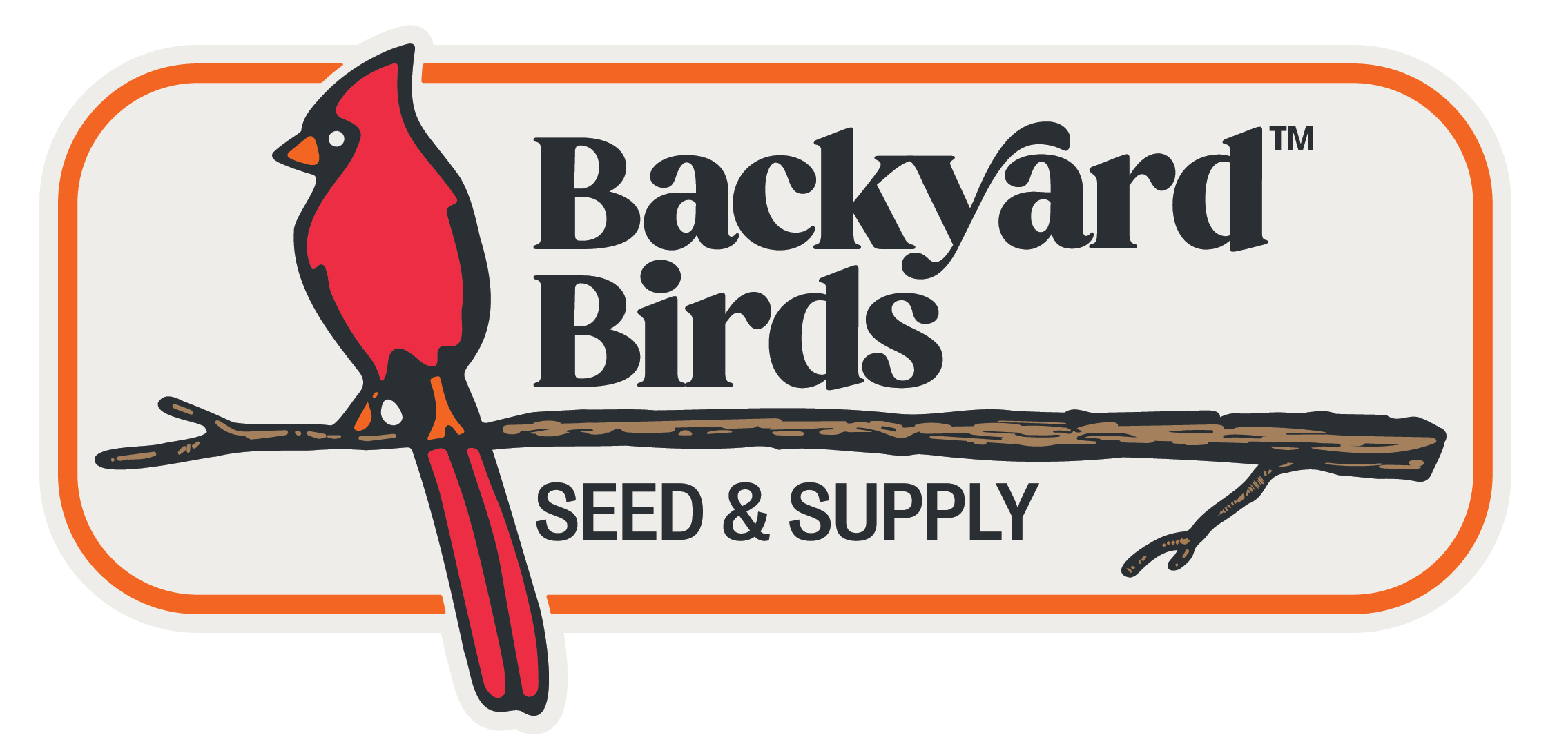 Backyard Birds
