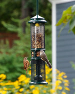 Squirrel Buster Nut Feeder - Brome Bird Care