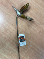 Ancient graffiti hummingbird steak