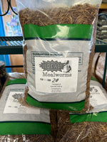 Dried Mealworms - Ideal