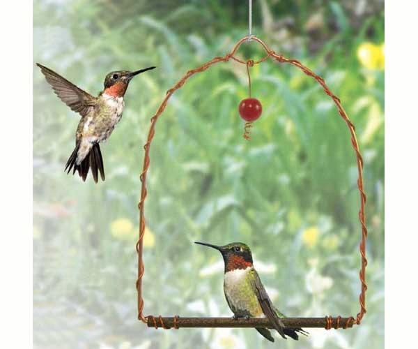 Copper Hummingbird Swing - Songbird Essentials