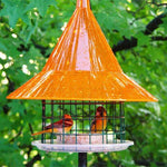 Sky Cafe Oriole Feeder - Arundale