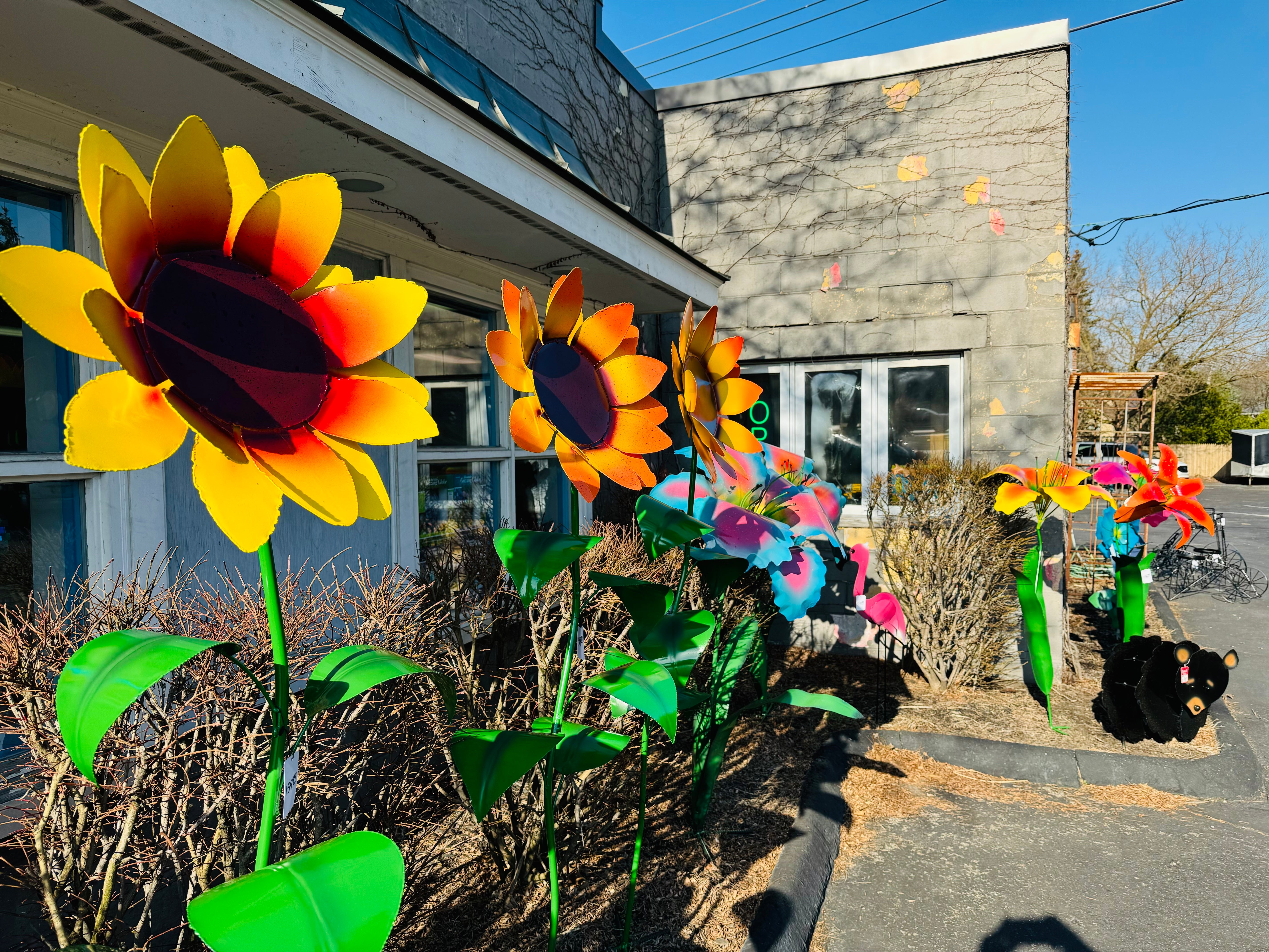 Backyard Decor – Backyard Birds
