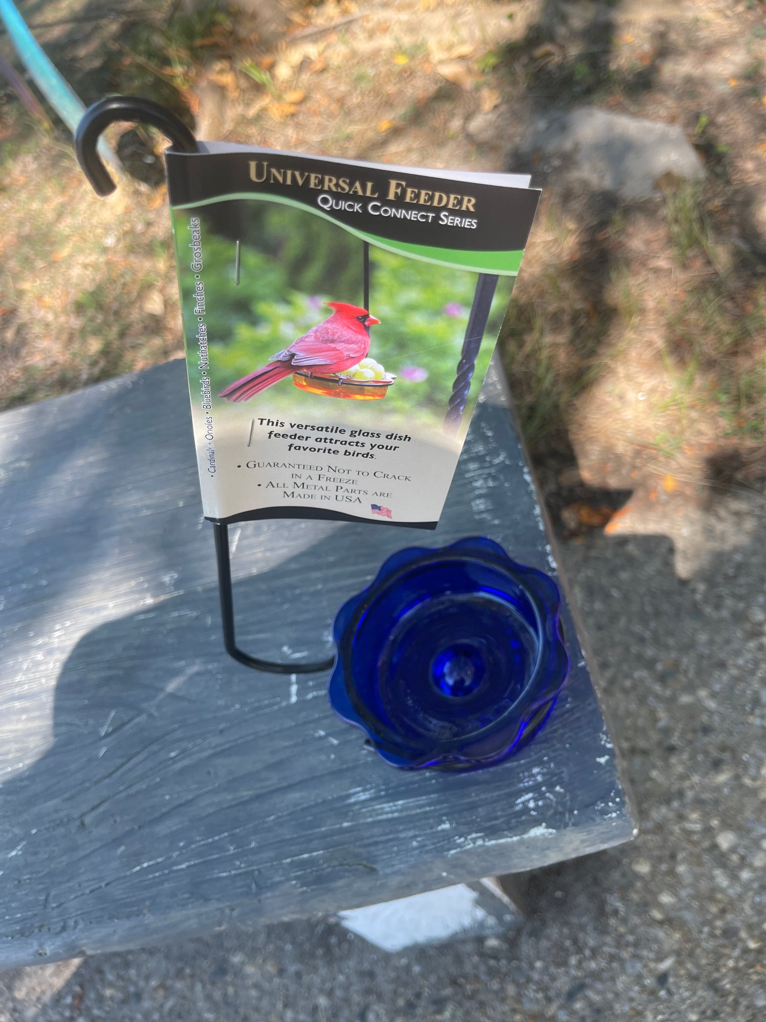 Glass dish feeder