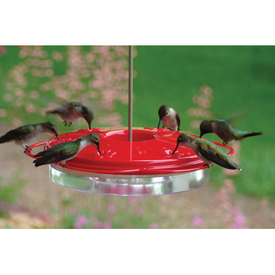 WoodLink 12 oz Plastic Hummingbird Feeder (Model 24920/WLH1)