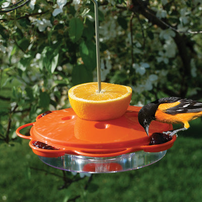 12 oz Plastic Oriole Feeder 25018/WLO1