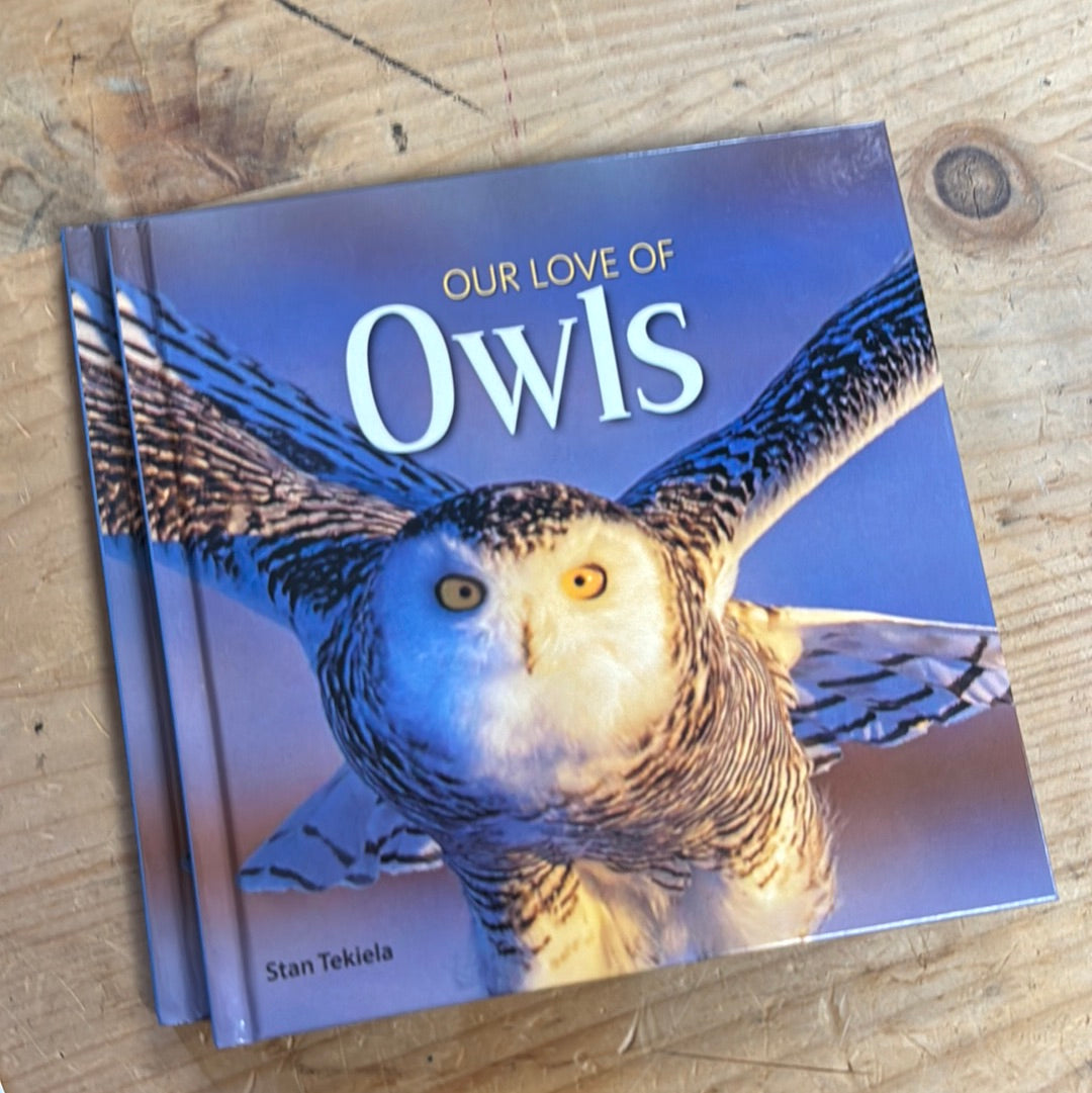 Our Love of Owls - Stan Tekiela