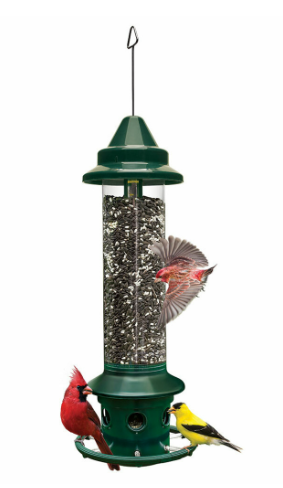 Squirrel Buster Finch 2/cs