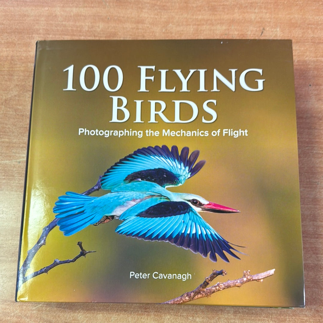 Peter Cavanagh - 100 Flying Birds – Backyard Birds