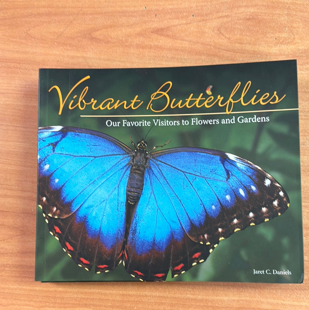 Jaret Daniels - Vibrant Butterflies