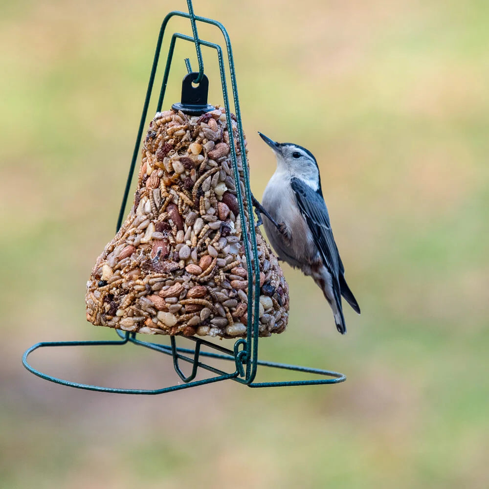 Mr. Bird Seed Bell Cake Hanger