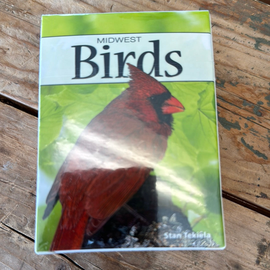 Midwest Birds - Playing Cards – Backyard Birds