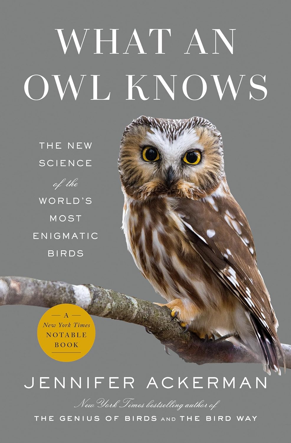 What An Owl Knows - Jennifer Ackerman