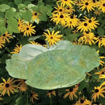 Ancient Graffiti Green Leaf Birdbath with Stand - (950)