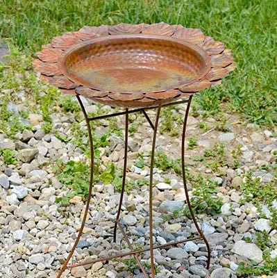 Ancient Graffiti Standing Flamed Leaf Bird Bath - (AG-17045)