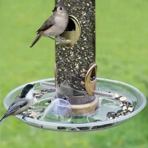 ASPECTS449 Auto Tray