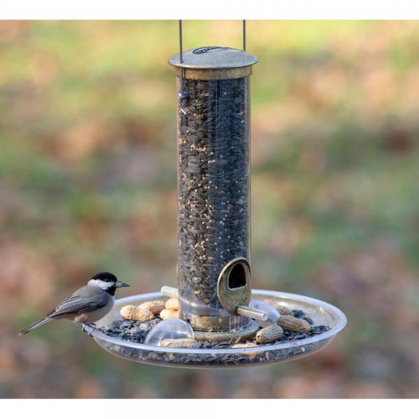 ASPECTS449 Auto Tray