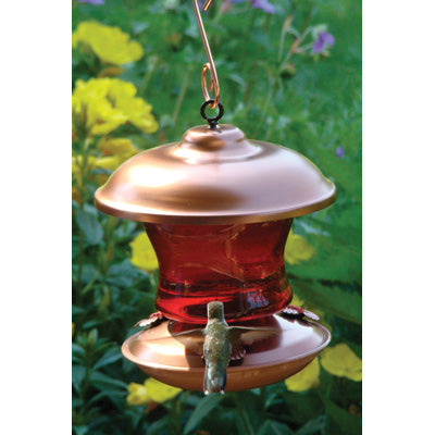 Copper Color Hummingbird Feeder Ruby Glass Model 24909/WLH5