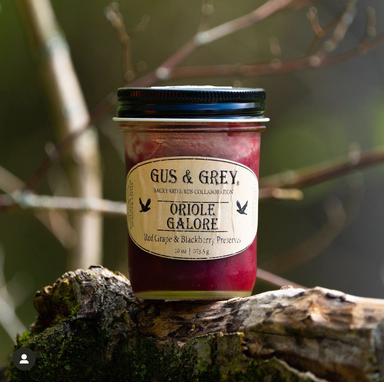 Oriole Galore Preserves - BYB x Gus & Grey Limited Edition