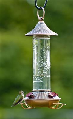 Woodlink Audubon Embossed Glass Hummingbird Feeder 24908/WL35240
