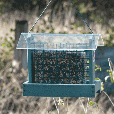 Going Green® Peanut/Suet feeder-Green Model 24401/GGPNUTSUETG