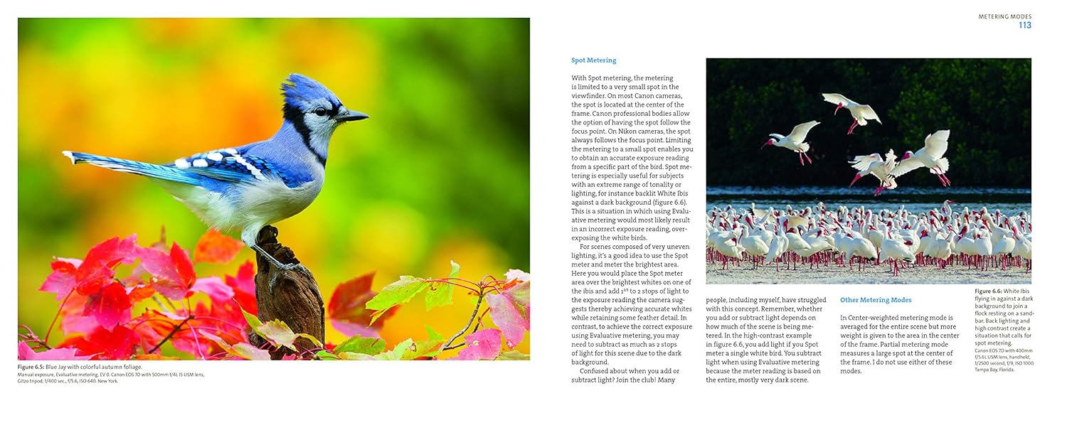 Mastering Bird Photography: The Art, Craft, and Technique of Photographing Birds and Their Behavior - Marie Read