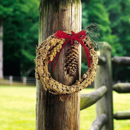 Rustic Bird Seed Wreath 10″ - Mr Bird