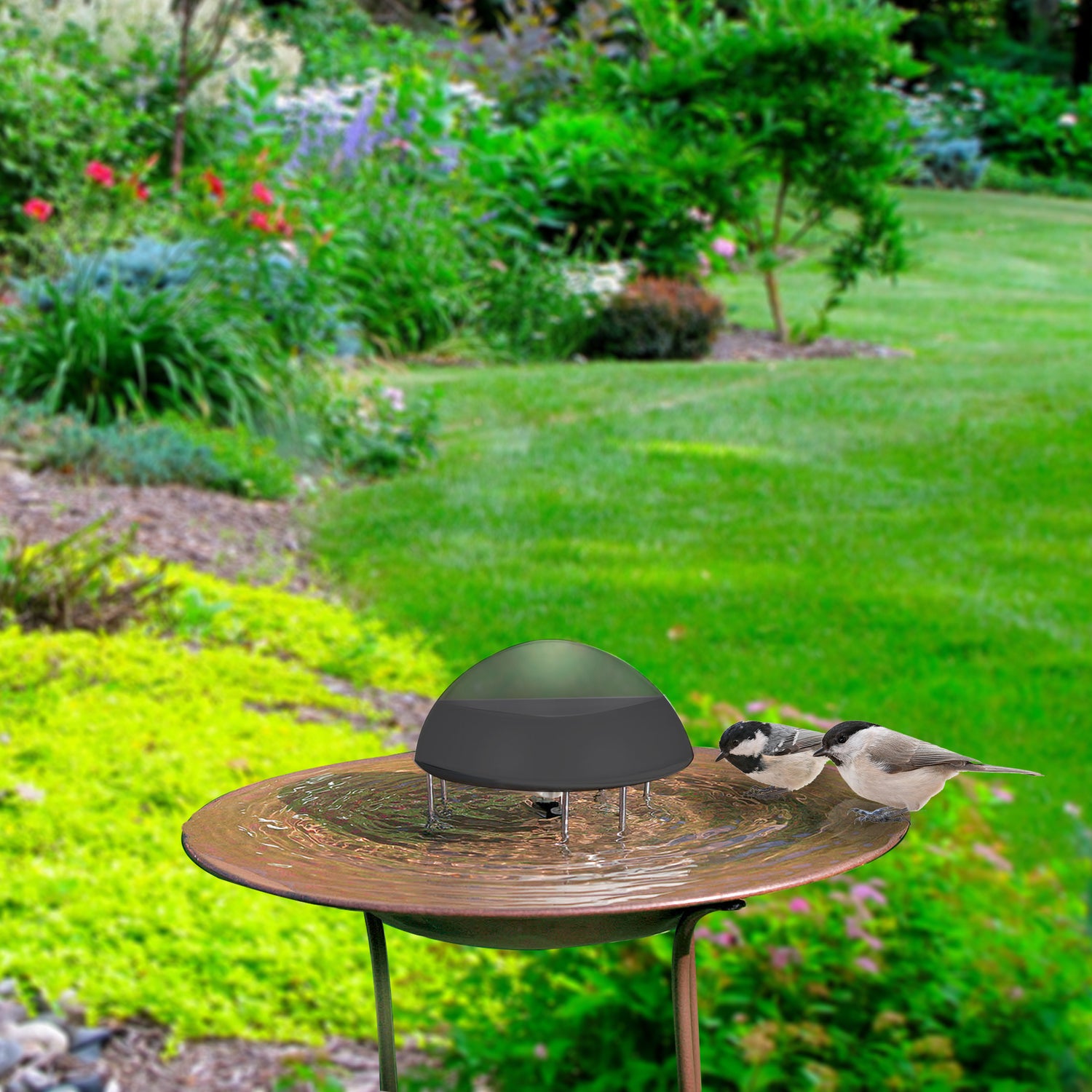 Woodlink Solar Water Birdbath Circulator (Model 25478)