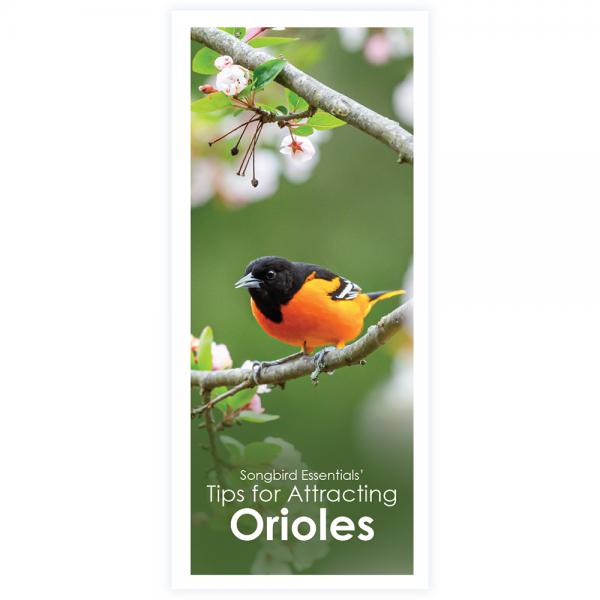 SETIPSORIOLES Tips To Attracting Orioles To