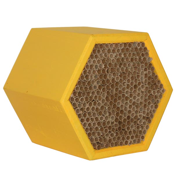 Honey Comb Modular Mason Bee House