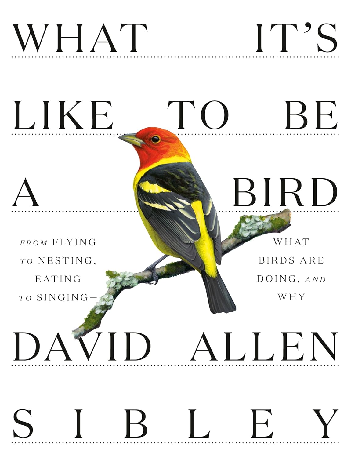 What It's Like to Be a Bird: From Flying to Nesting, Eating to Singing - David Allen Sibley