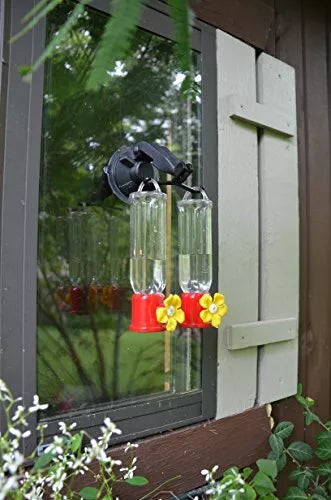 Hummingbird Feeder Double Window Hook - Red Carpet Studios